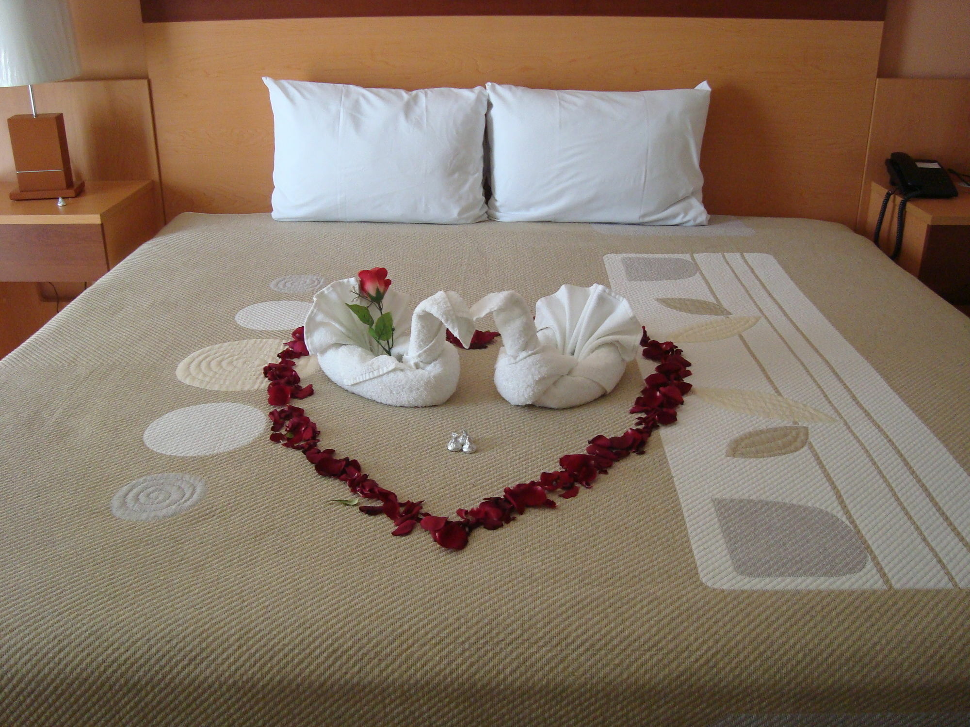 Hotel Real Zapopan Extérieur photo